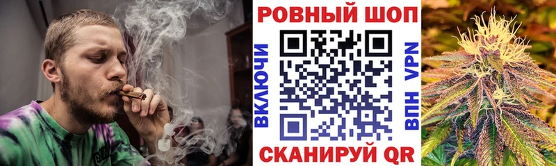 Псилоцибиновые грибы Шилка