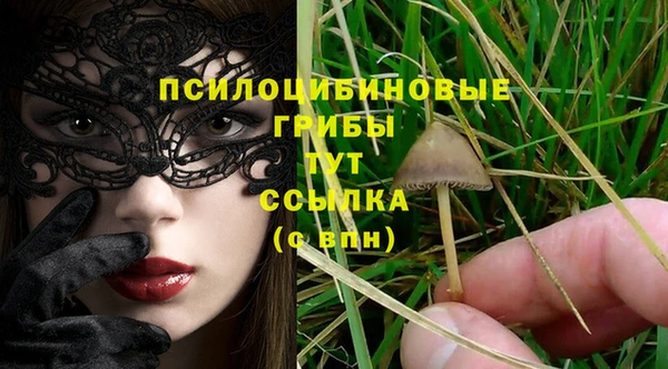 не бодяженный Абдулино