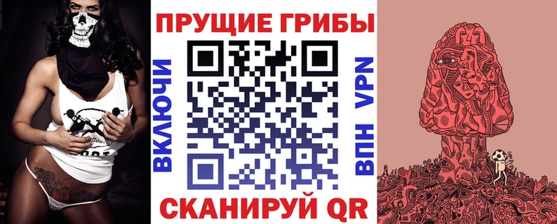 Галлюциногенные грибы прущие грибы  Шилка 